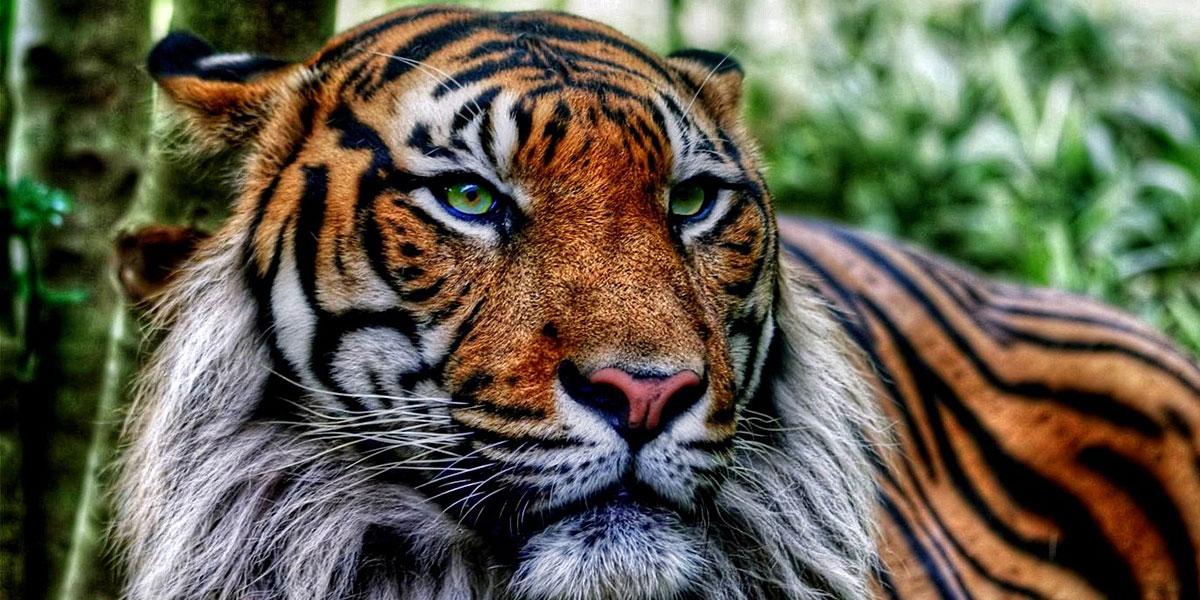 judepaula's profile banner image