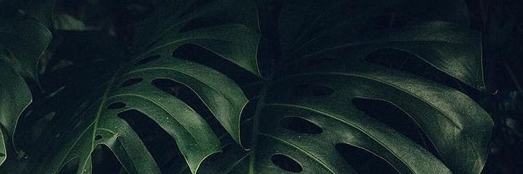 nrmrlysa's profile banner image