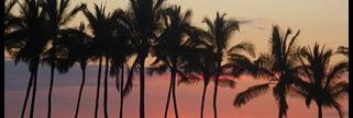 daisan_827's profile banner image