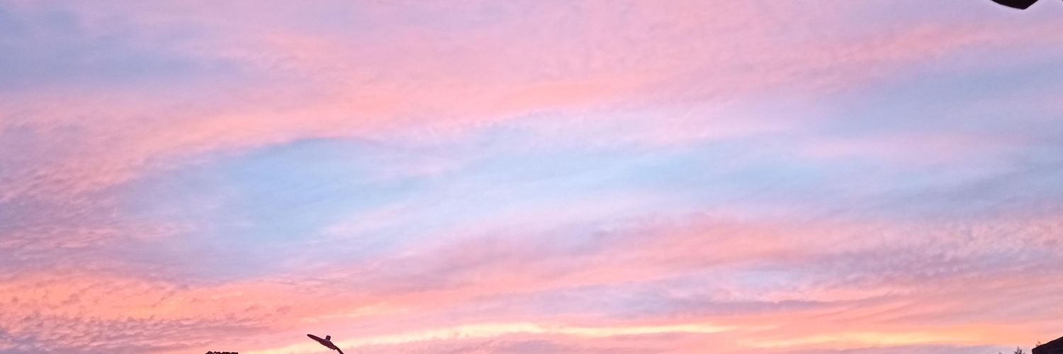 micero18's profile banner image