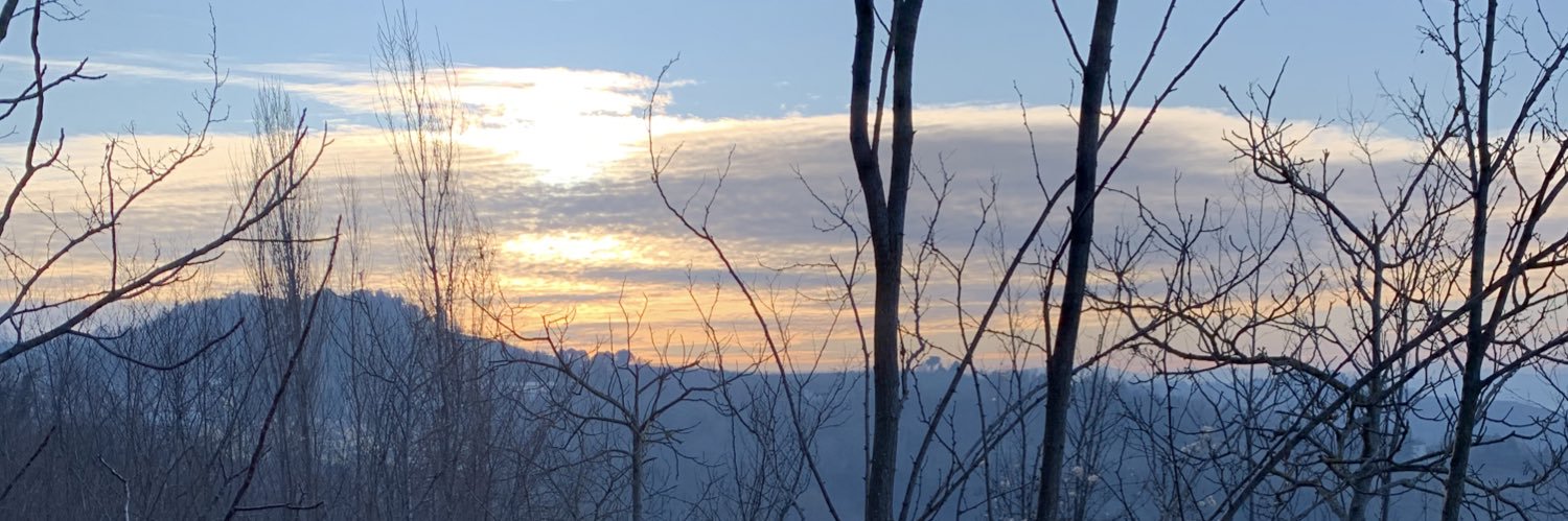 pietrofrenk's profile banner image