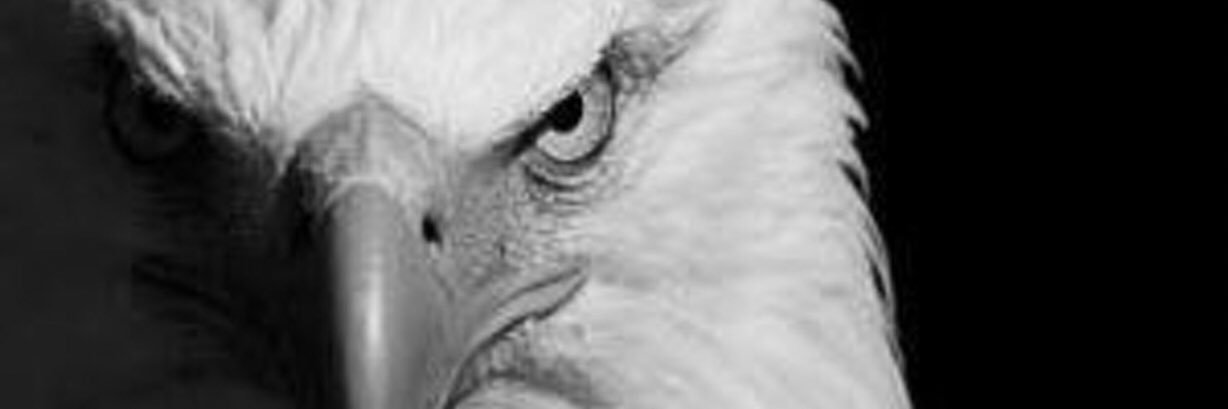 znrkaya's profile banner image