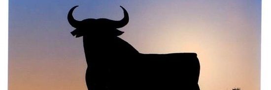 Toro 🐃 banner