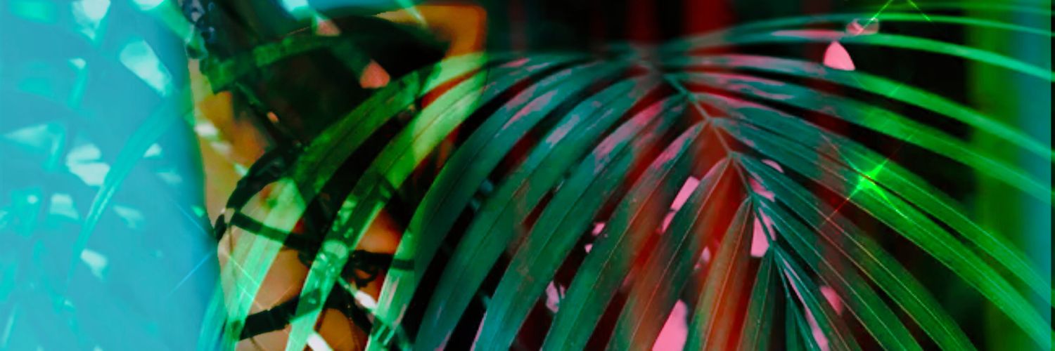 FoxyPcox's profile banner image