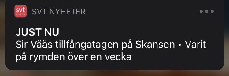 Emelie Lundgren banner