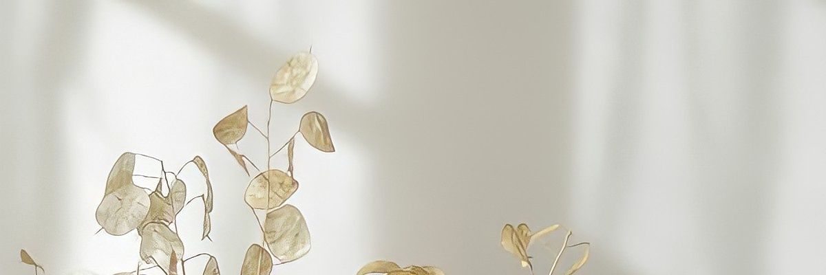 diaryjeonghan's profile banner image