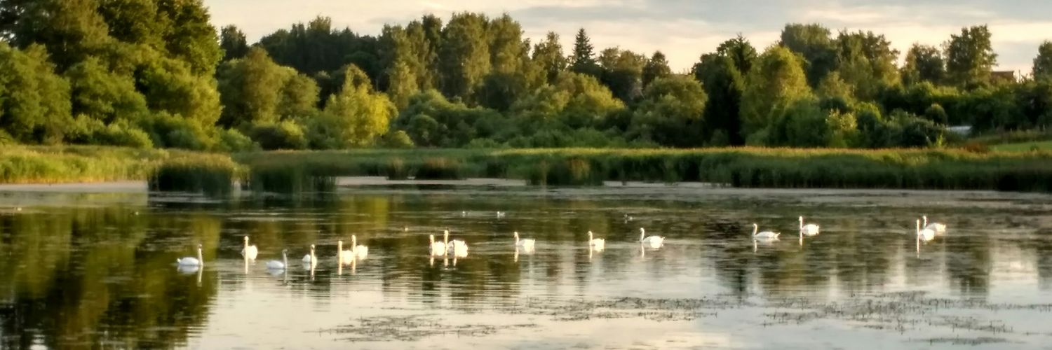 KrivonosMA's profile banner image