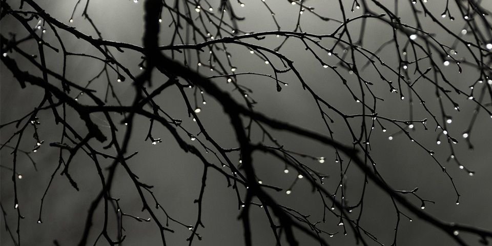 AmyLouWho9's profile banner image
