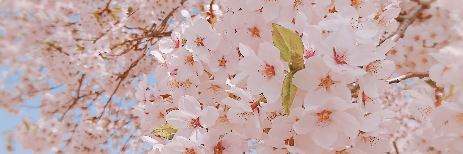 y262025's profile banner image