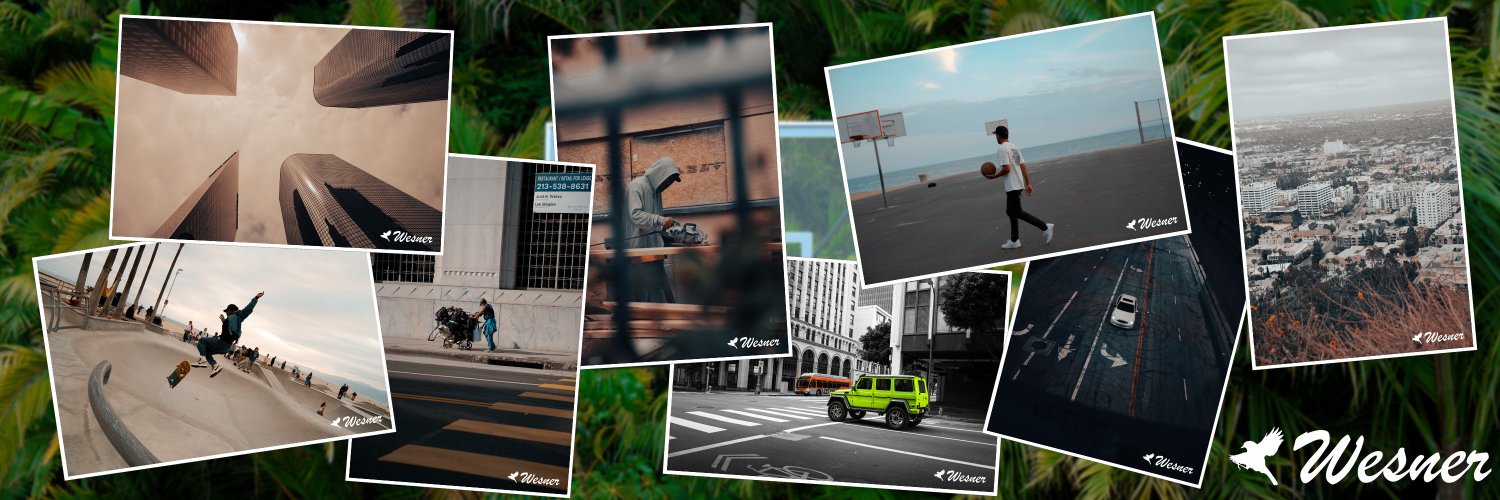 Wesner banner
