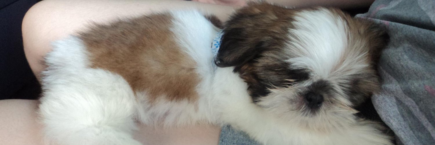 αηηα wøłf banner