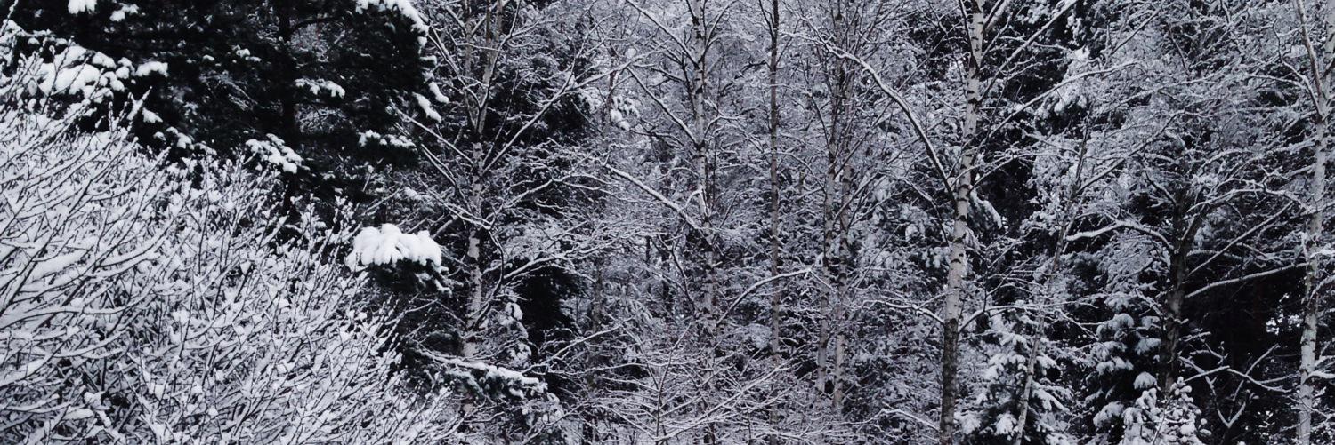 JennaHRPG's profile banner image