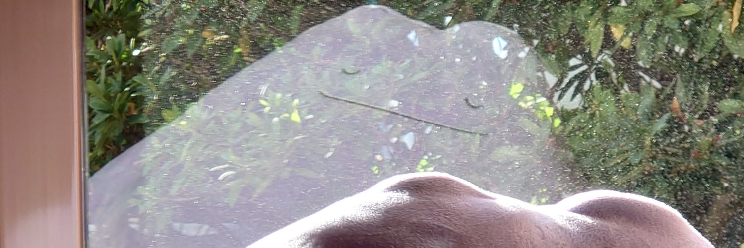torb_hiro33's profile banner image