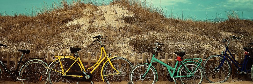 Life and Whim banner