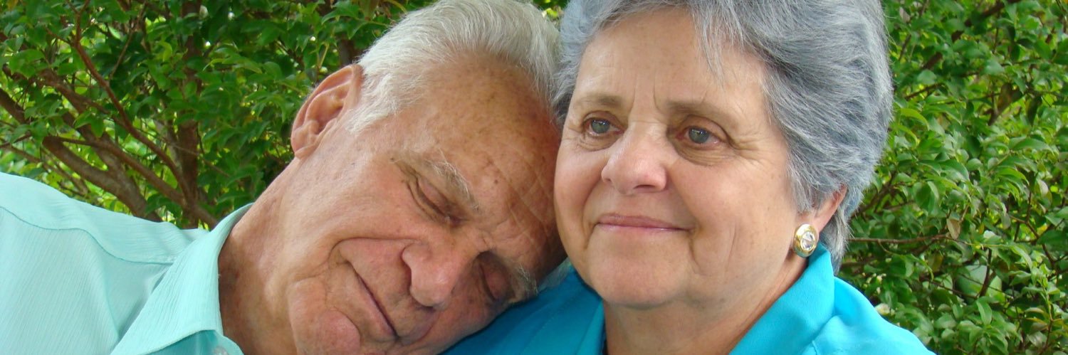 José Passini banner