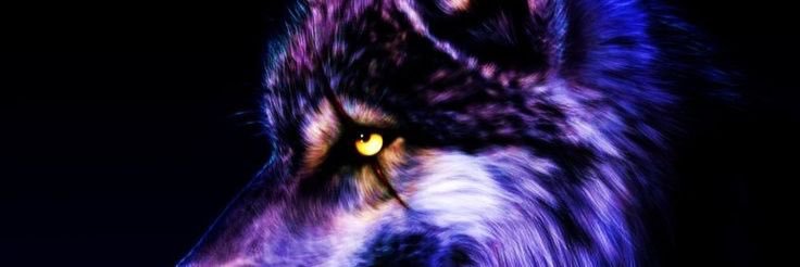 EchoHydra's profile banner image