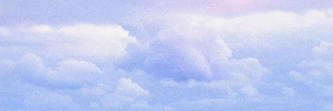 CCCkaki's profile banner image