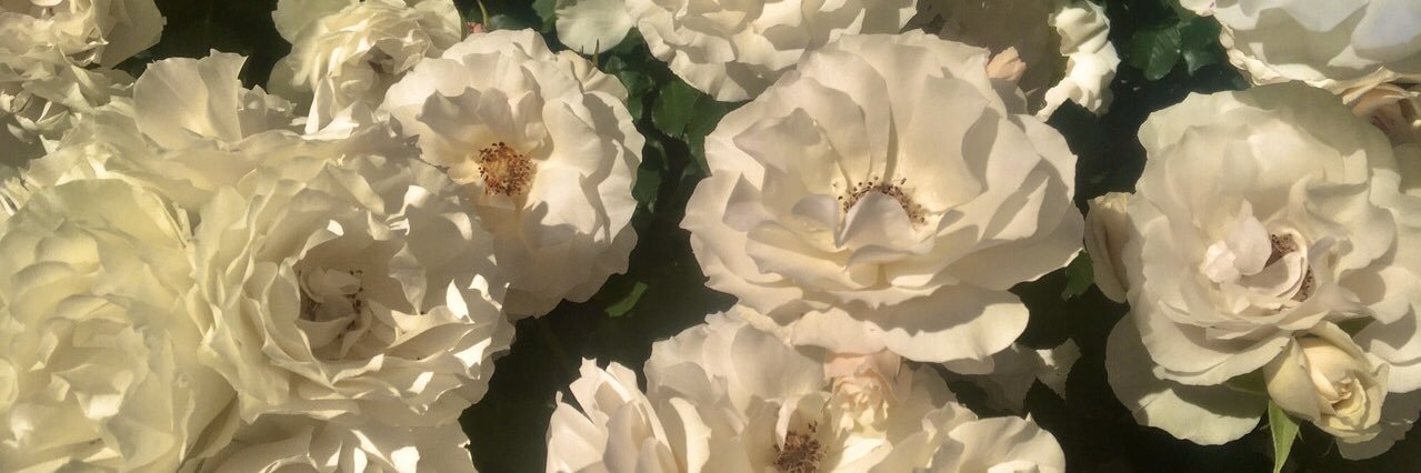 ®️ banner