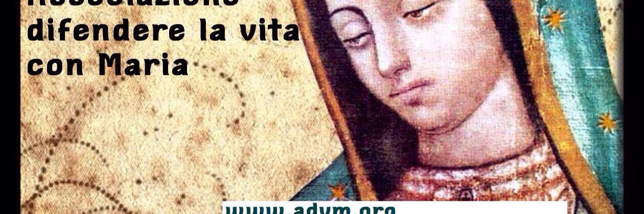 Mary_For_Life's profile banner image