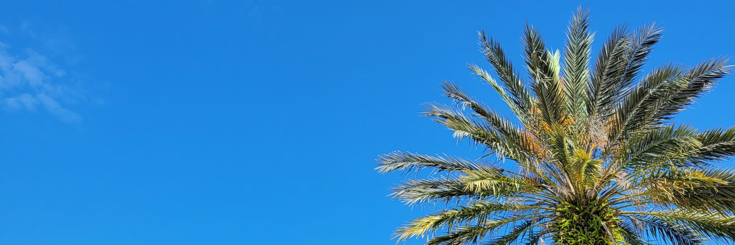 Bradley Brummel banner