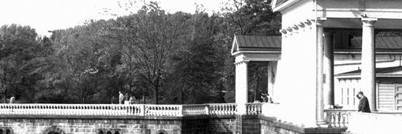 classicizephila's profile banner image