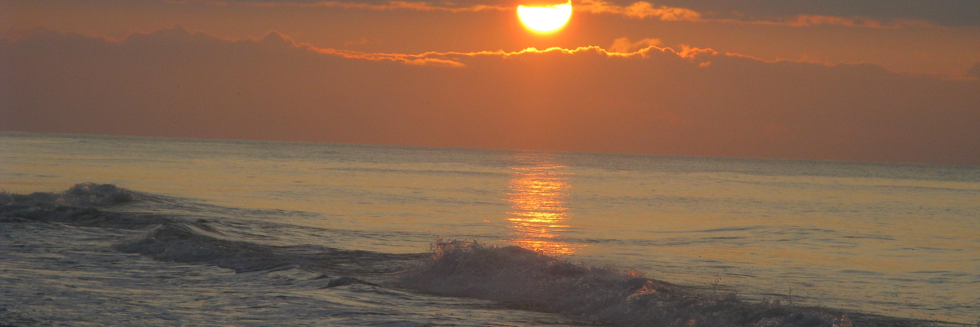 Catherine Shergi banner