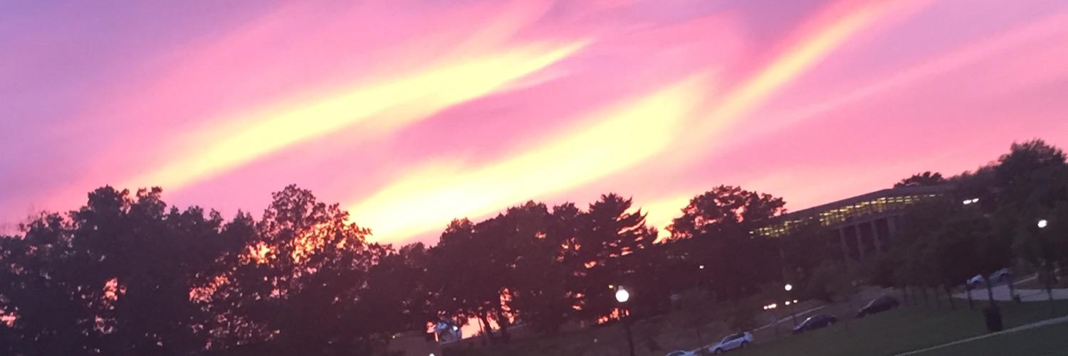B_Stoy's profile banner image