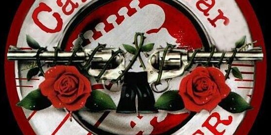 RRPP Fever banner