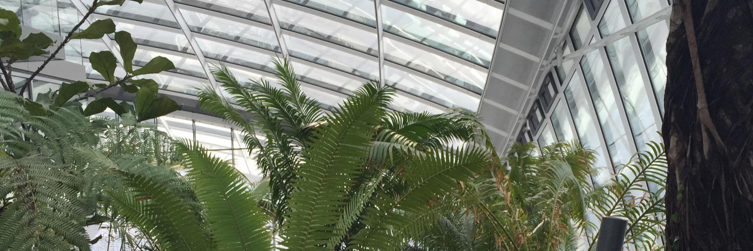 ihavethisthingfor banner