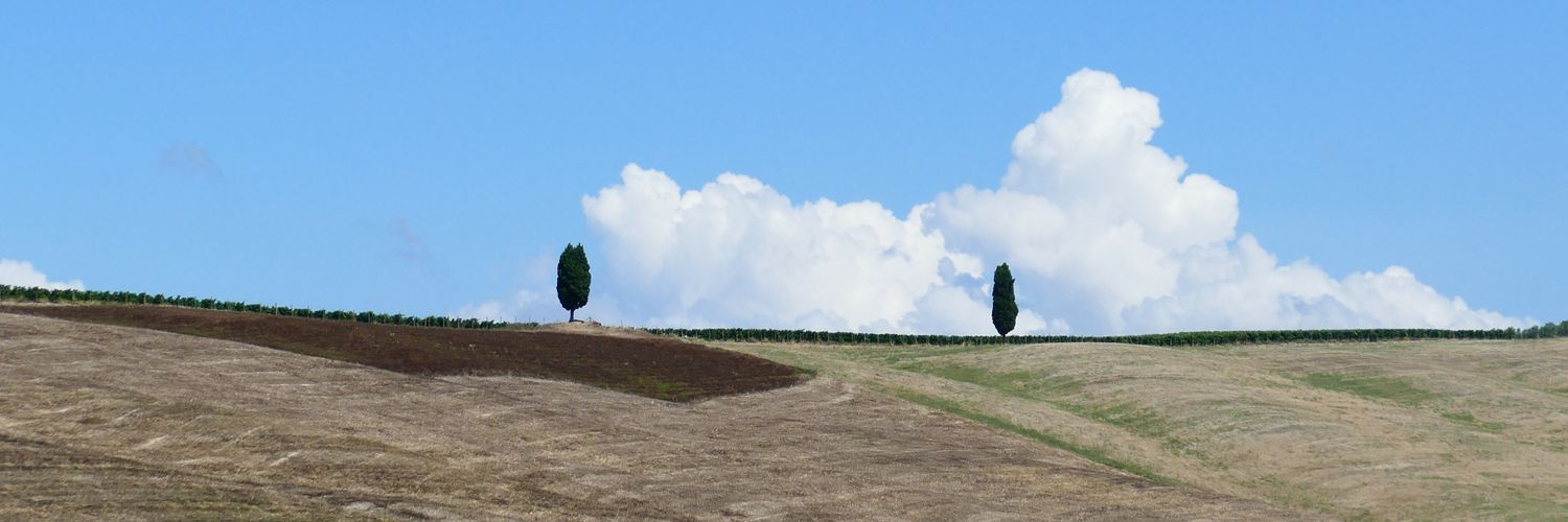 TomEHalpin's profile banner image