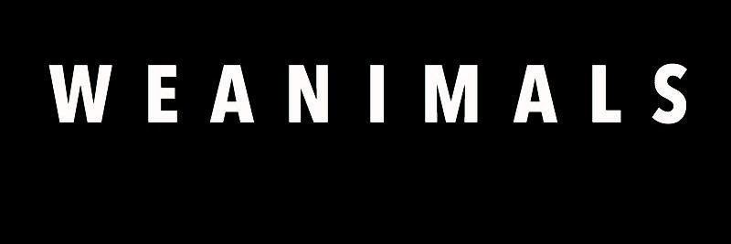 WeAnimalsMusic's profile banner image