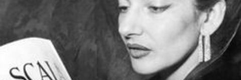 meryrosee_'s profile banner image