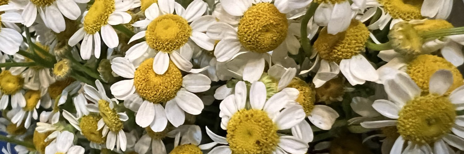grayceetang's profile banner image