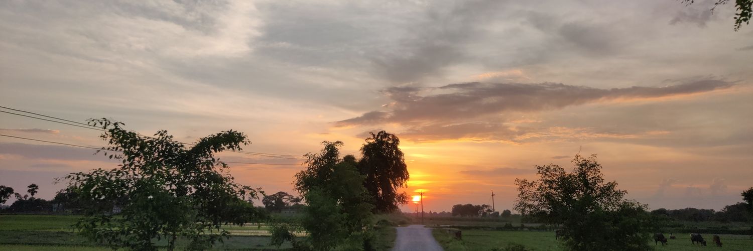srivastavap2's profile banner image