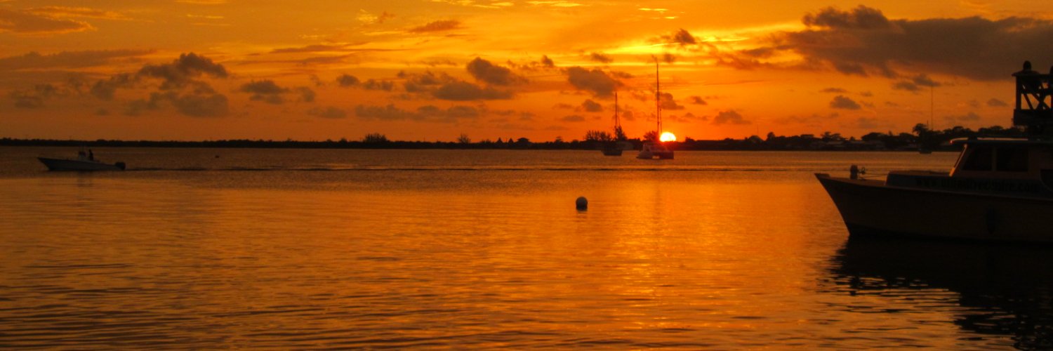 nancyt_r's profile banner image