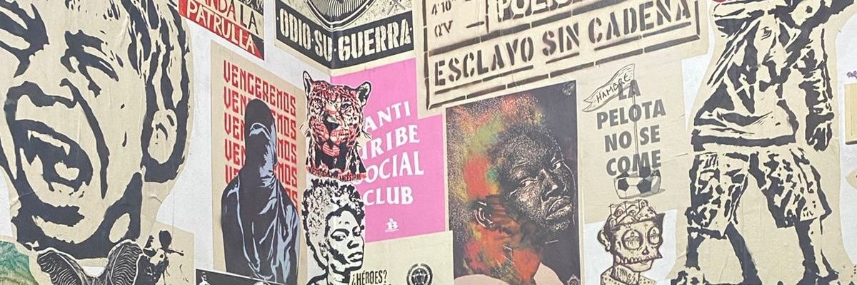 NoAlimentePatos's profile banner image