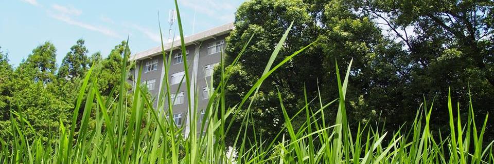 flat_tako3's profile banner image