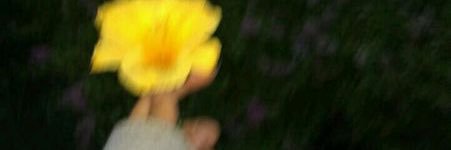 themoonskyyy's profile banner image