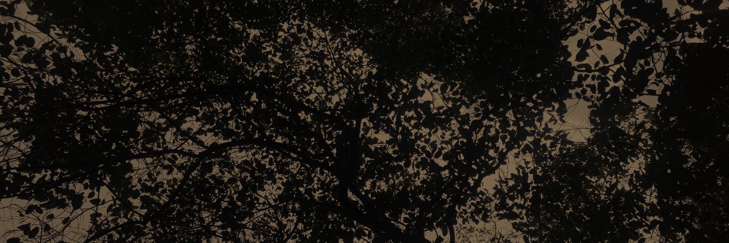 「Qi」 banner