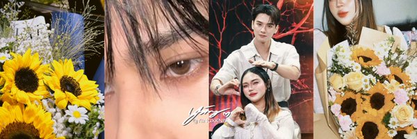 yiingxknp Profile Banner