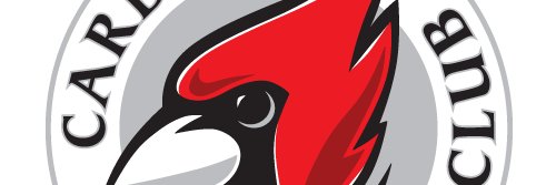 cgolfchallenge's profile banner image