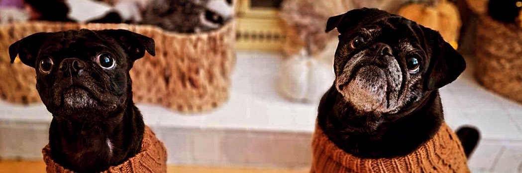 alysonsamsonNB's profile banner image
