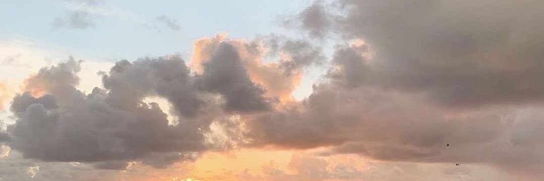 philippajaneh's profile banner image