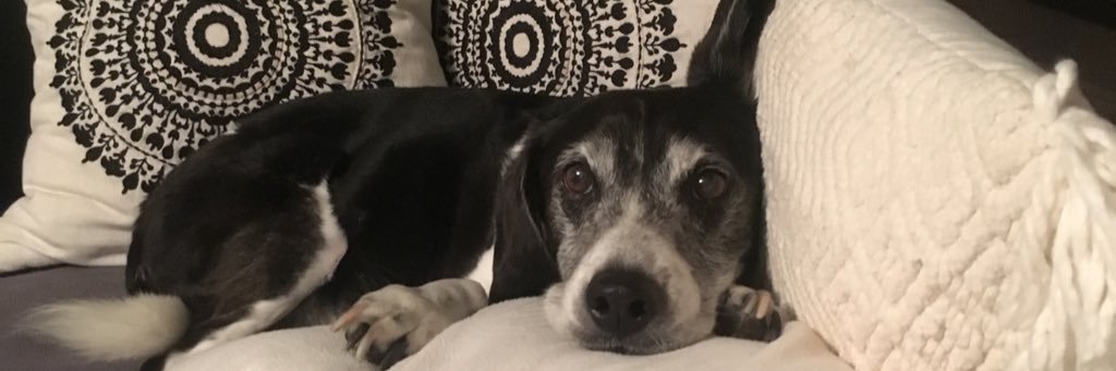 breekalinsky's profile banner image