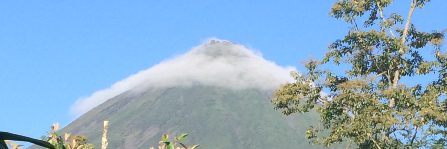 PadgettTara's profile banner image