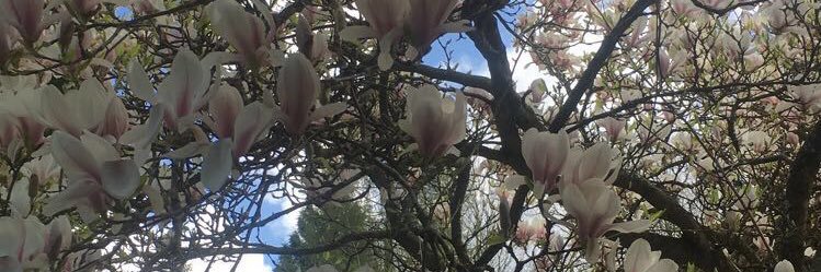 _elliemaher's profile banner image