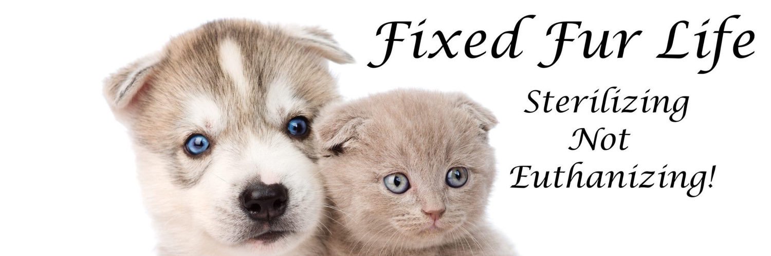 FixedFurLife's profile banner image
