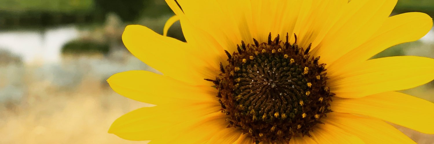NikoleWilliam16's profile banner image