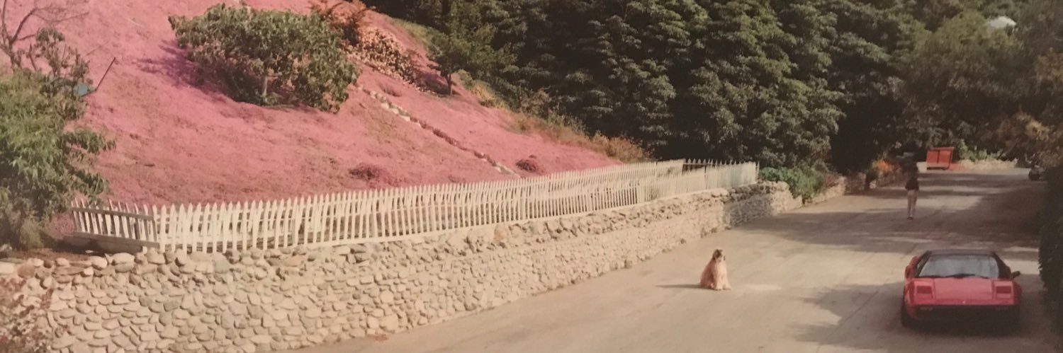 MahmoudB_'s profile banner image