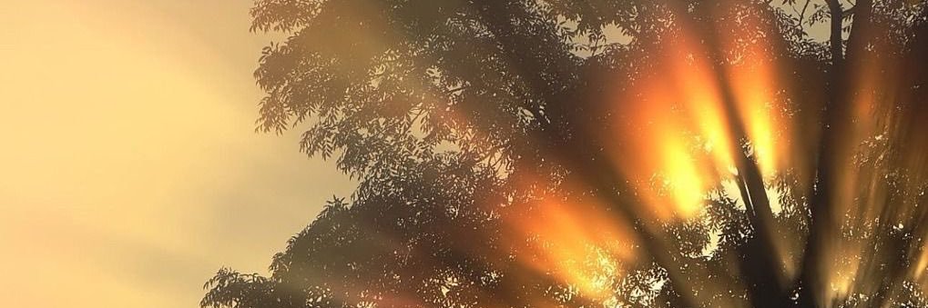 AtliTatli's profile banner image